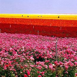 城市建设游戏《工人与资源》进入1.0正式版